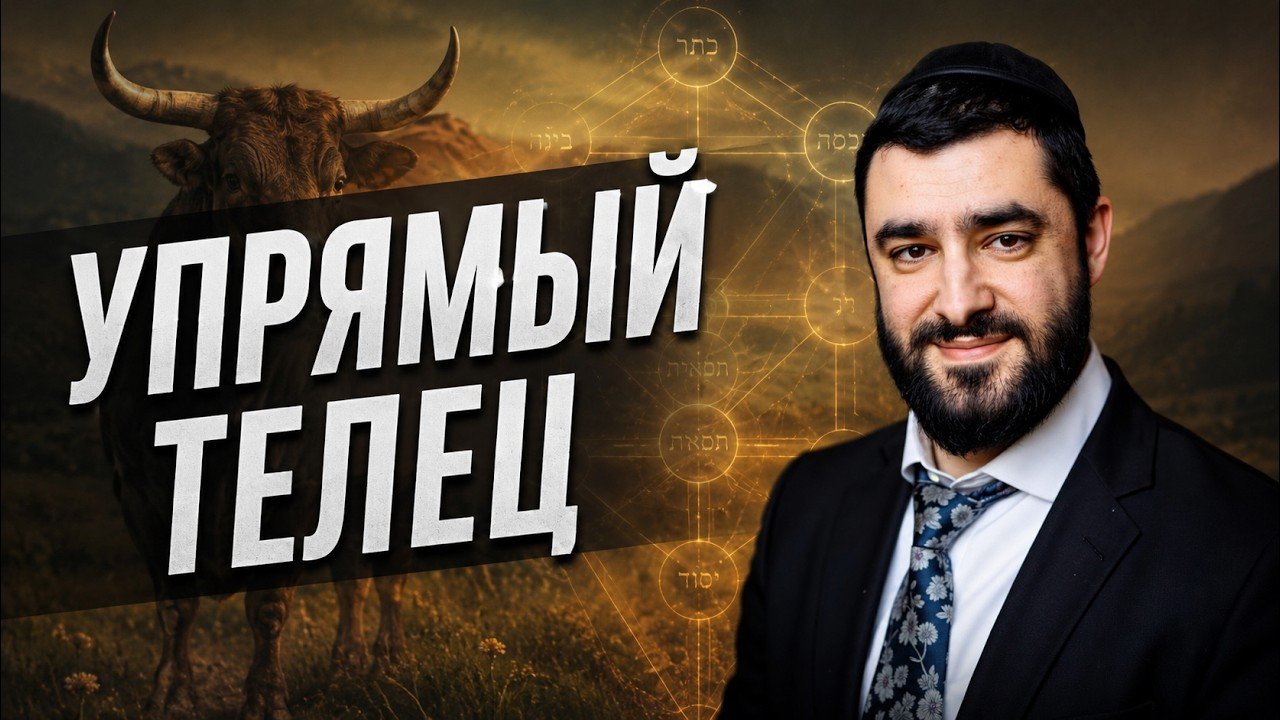 Video thumbnail: a smiling man in a suit on the right, a bull in a field on the left, with a diagonal banner and bold Cyrillic title implying 'stubborn bull'.
