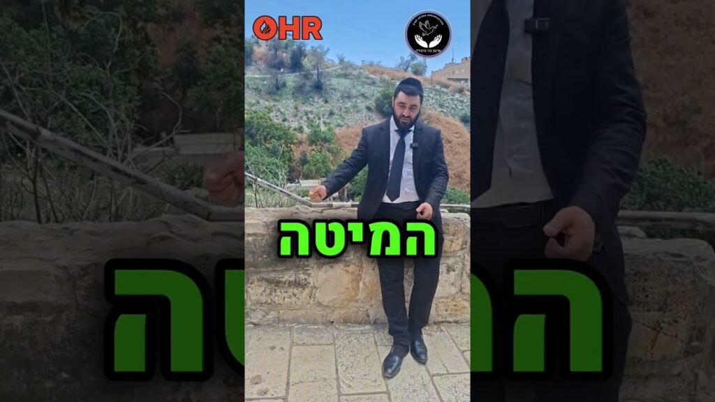 Man in a dark suit and tie stands against a stone wall outdoors, with two logos near his head and bold green Hebrew text overlaying his torso.
