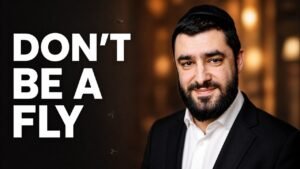 Bold poster-style graphic: 'DON'T BE A FLY' in white text on the left, with a bearded man in a suit on the right and a few flies hovering near the edge.